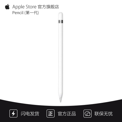 Apple Pencil (第一代) 包含转换器 (用于搭配第十代 iPad 进行配对和充电)