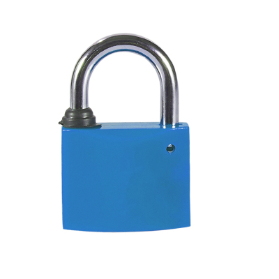 中城国网(CCSGCC)30mm塑钢锁 (计价单位:个) 蓝色