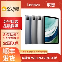联想(Lenovo)异能者 M20 12G+512G 冰河银 WIFI+5G插卡版 10.4英寸5G通话全网通平板电脑 娱乐办公TUV爱眼 2K IPS屏