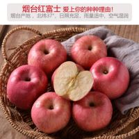 富士苹果5斤Y
