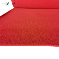 一城山色拉绒地毯地垫 宽约1.5m 厚度约5mm 每平方米价格