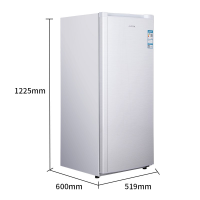澳柯玛 BD-138NE 138L 立式冷冻柜 (计价单位:台) 白色