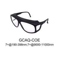 防护眼镜 GCAQ-COE 不涉及维保
