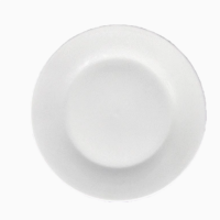 10寸圆形菜盘 陶瓷 白色 长约25.2