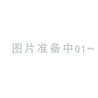 安徽网谱RFID 标签(100*50mm)WP-RFID-BQ1005