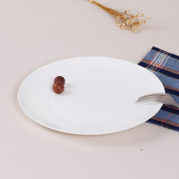 斯凯绨SKYTOP 盘子陶瓷骨瓷 西餐盘 饺子盘 纯白 10英寸