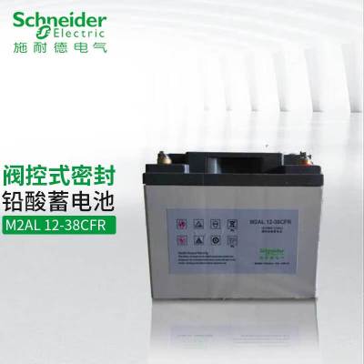 施耐德CFR铅酸蓄电池M2AL12-38CFR (含回收/铜条/安装/调试)