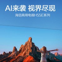 海信(Hisense)65H55E 65英寸 超高清4K 智能液晶平板电视 家用商用电视 企业采购