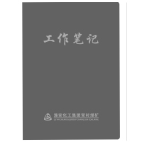 定制工作笔记本 烫金/烫银 商务办公用品办公记事本