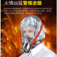 水龙珠 TEL30消防面罩 防毒面具防烟面罩火灾逃生面具 过滤式自救呼吸器
