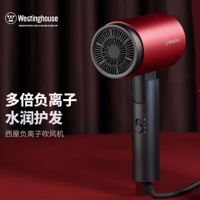 西屋 (Westinghouse) 电吹风 H204-