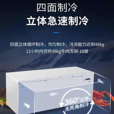 海尔冰柜家用商用卧式冷柜 BC/BD-1028T