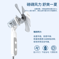 澳柯玛(AUCMA)电风扇家用节能落地扇 FS-45H210