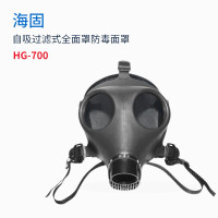 海固(HAIGU)自吸过滤式防毒面具大视野TPE注塑全面罩 HG-700 黑色(单只装 不含过滤件)