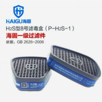 海固(HAI GU) 自吸过滤式防毒面具过滤件 P-B/E/K/H2S-1 盒一对