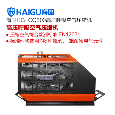 海固(HAIGU)HG-CQ300 高压呼气空气压缩机 正压式空气呼吸充气泵 7.5KW三相电机 300L/min