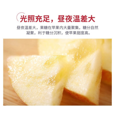 中苑 苹果阿克苏苹果红富士苹果礼盒新鲜水果套盒10斤