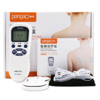 攀高 (PANGAO) 低频理疗仪 家用便携电疗仪辅助治疗仪 电脉冲多功能颈椎腰椎膝盖关节按摩器 PG-2602A