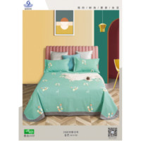 六印(LIU YIN)纯棉家用舒适床上夏凉布三件套