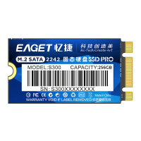忆捷(EAGET)S300-256G固态(2242、NGFF)