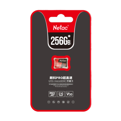 朗科(Netac)行车记录仪监控摄像头内存卡 P500至尊Pro版/256G 黑色 1/个 计价单位:个