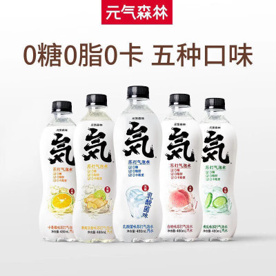 元気森林-海盐椰子 480ml *15瓶*50箱