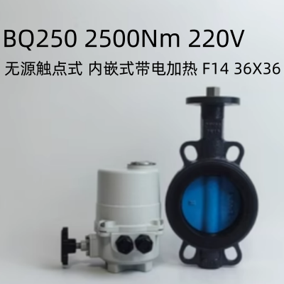 赫德世嘉(HEARDSGA)欧文托普电动阀BQ250 2500Nm 220V 无源触点式内嵌式带电加热开关型电动执行器