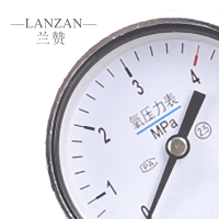 兰赞(LANZAN) 防摔节能纯铜氮气减压器