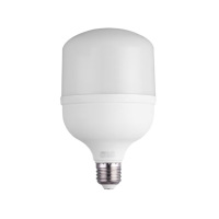 雷士 LED灯泡柱泡节能灯 E27大螺口家用商用大功率光源 12W白光 单个装