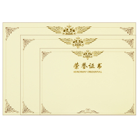 得力3231荣誉证书内芯-8K(50张/包)(黄)