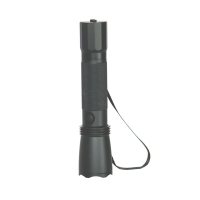 通芯 DT9112/BF 双色可调 手电筒 (计价单位:个) 黑色