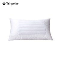 三极 (Tri-polar) TP2984 46*74cm 荞麦两用枕(计价单位:个)