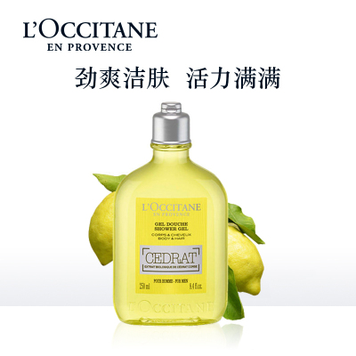 欧舒丹(L'OCCITANE) 男士活力 250ml 沐浴露 (计价单位:瓶)