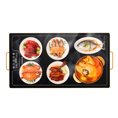 SANSUI 热菜板JM6040