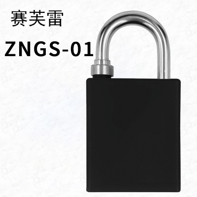 赛芙雷 ZNGS-01 挂锁 黑色