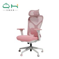秋槐 DS-005A白色 人体工学椅子可躺办公椅腰靠护腰电脑椅家用转椅升降