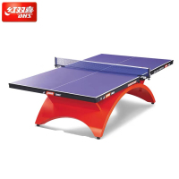 红双喜(DHS)大彩虹乒乓球桌国际高级比赛大赛室内标准乒乓球台