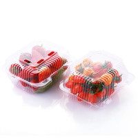 XUANGOCN 一次性水果保鲜盒塑料透明鲜果切盒250克/100个