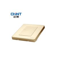 正泰(CHNT) 空白面板 NEW2-C95102 香槟色