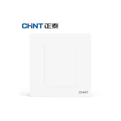 正泰(CHNT) 空白面板 NEW2-N95100 白色