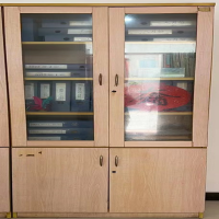文件柜 800*400*2200面板厚度为25 侧板18 橡木色 带玻璃门 配锁 起订量6个