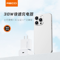 RECCI RCT-P41C 30W快速充电器(白色)