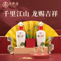 五粮液52度 龙赐吉祥1L(500ml*2)