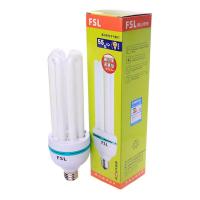 FSL/佛山照明 4U节能灯 65W/E27/6500K 白光 φ14.5mm 1个 销售单位：个