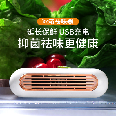 倍想冰箱除味消毒器 W8