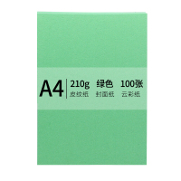 安兴 传美 A4 210g皮纹纸封面纸云彩纸封皮纸彩色卡纸标书装订封面纸 绿色 100张/包
