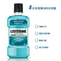 李施德林 (Listerine) 漱口水冰蓝劲爽口味清新口气深层清洁 (500mL*3瓶+100mL*2瓶)套装