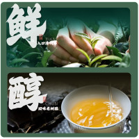 卢正浩茶叶绿茶浓香一级龙井茶传统纸包2020新茶西湖春茶(5022084)龙井200g