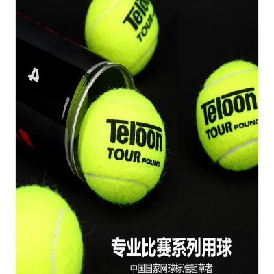 天龙(Teloon) 网球P4高弹耐磨训练球比赛练习用球 pound