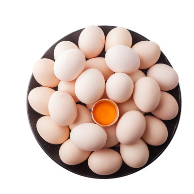 禽宝 纯散养土鸡蛋10个 散养成年土鸡下蛋鸡